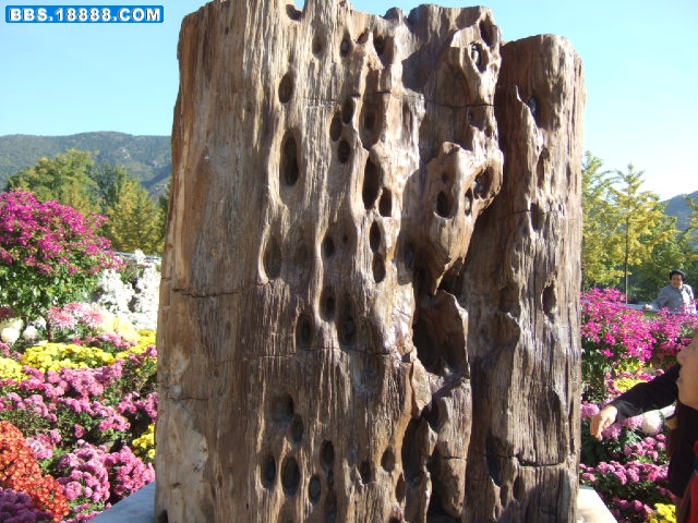 DSCF3306.JPG