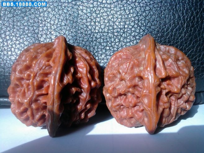 照片-0017.jpg