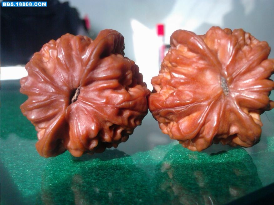 照片-0005.jpg