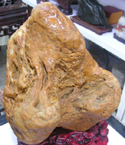 DSCN8160.JPG