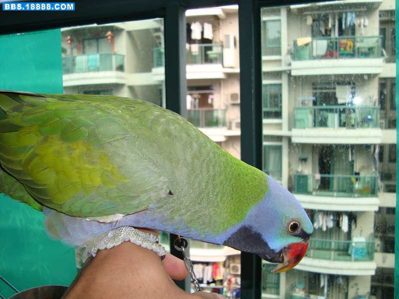 DSC00036.JPG