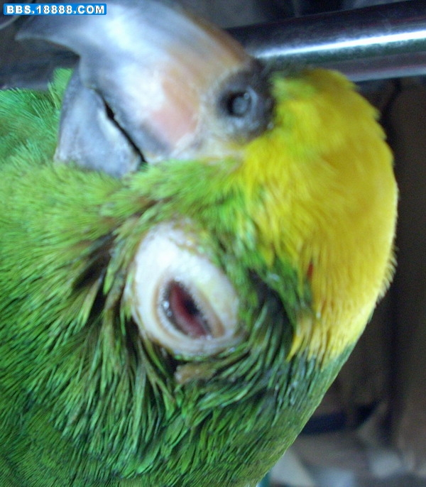 DSCN0042.JPG