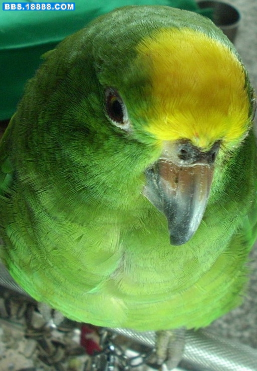 DSCN0048.JPG