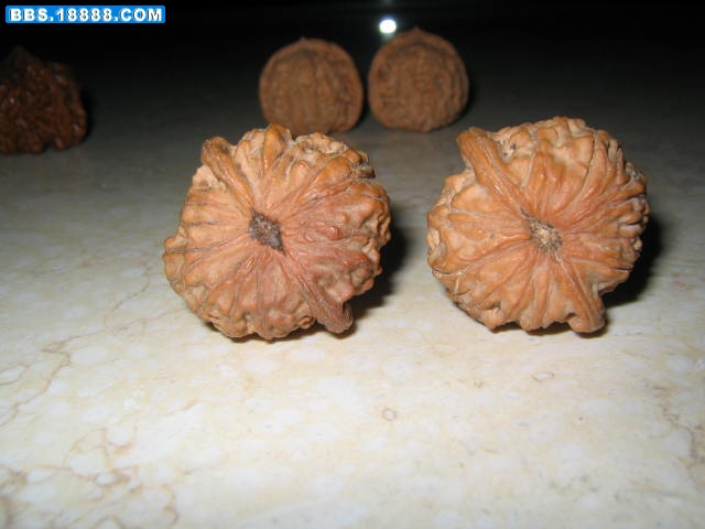 照片 2528.jpg