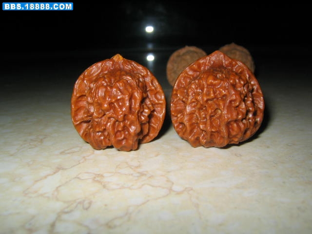 照片 2522.jpg