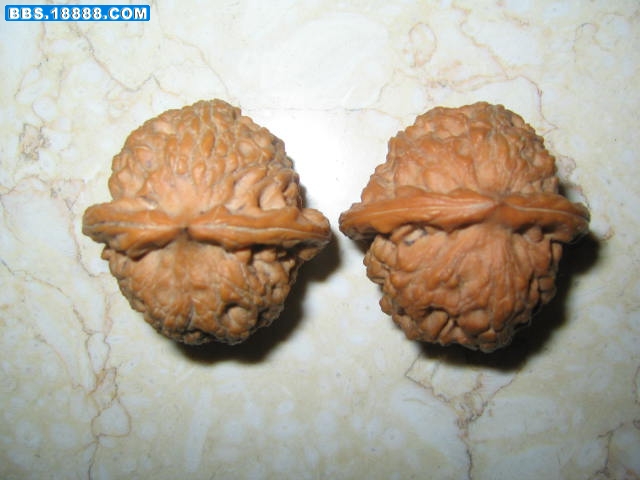 照片 2519.jpg