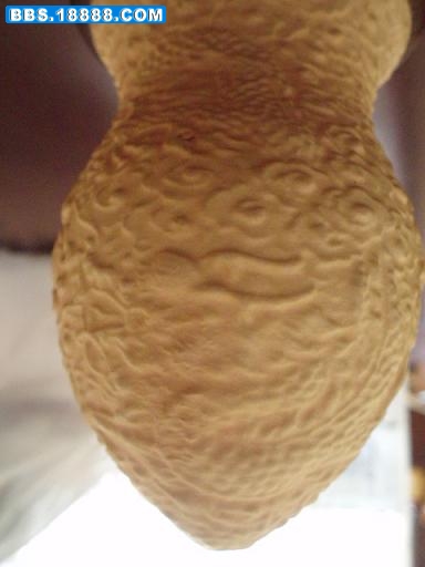 PB190292.JPG