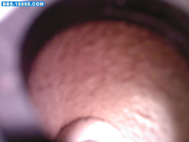 20081117212458.jpg