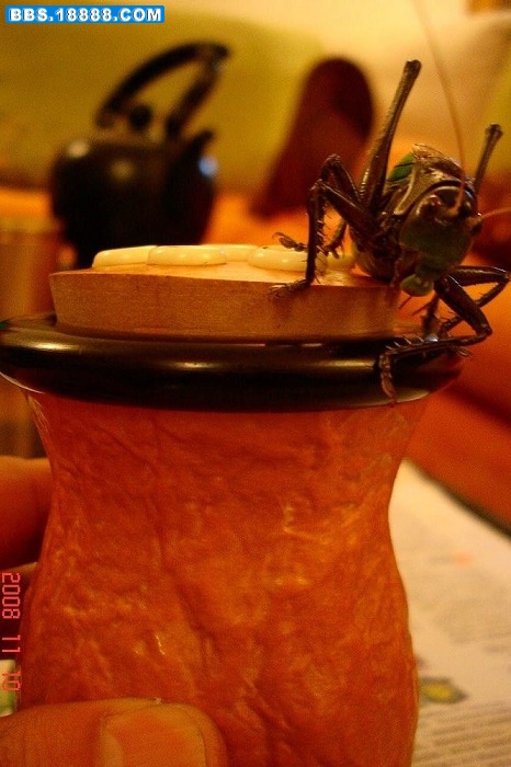 nEO_IMG_DSC08466.jpg