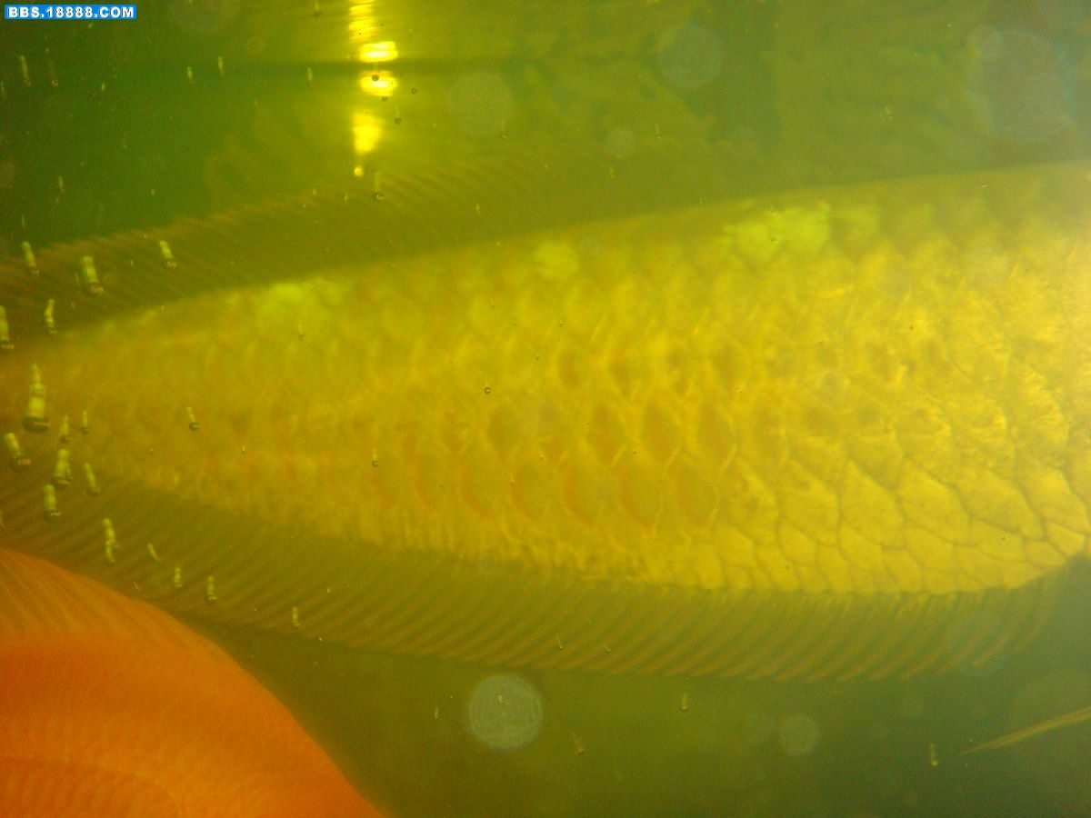 DSC03391新.jpg
