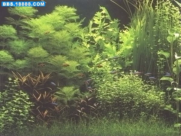 2004228155012721.jpg