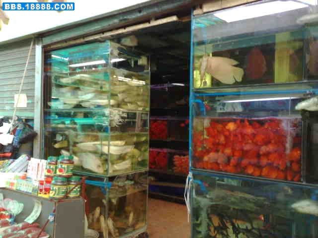 20081109370.jpg