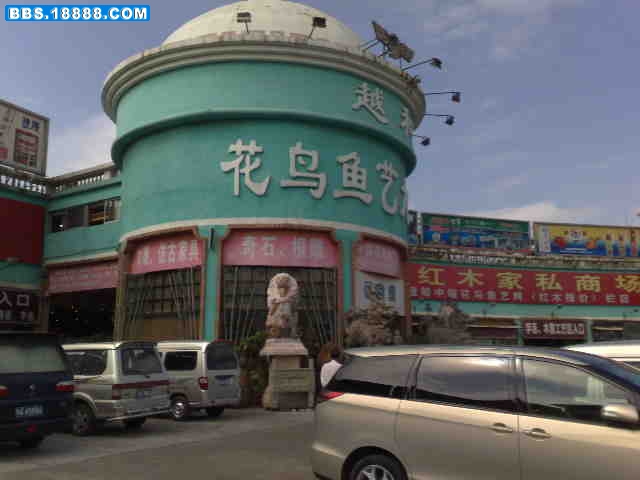 20081109387.jpg