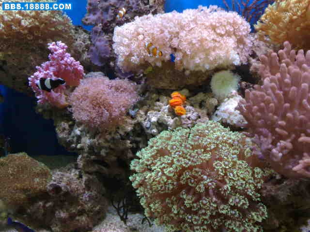 20081109348.jpg