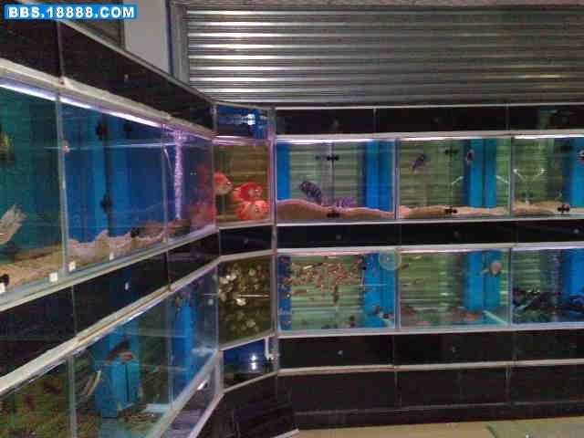 20081109359.jpg