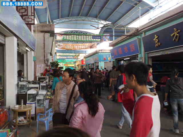 20081109360.jpg