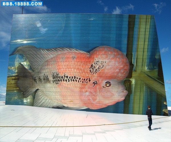 PhotoFunia_3e2c4a[1].jpg