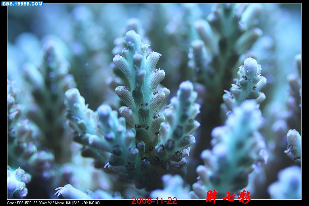 照片 1061.jpg