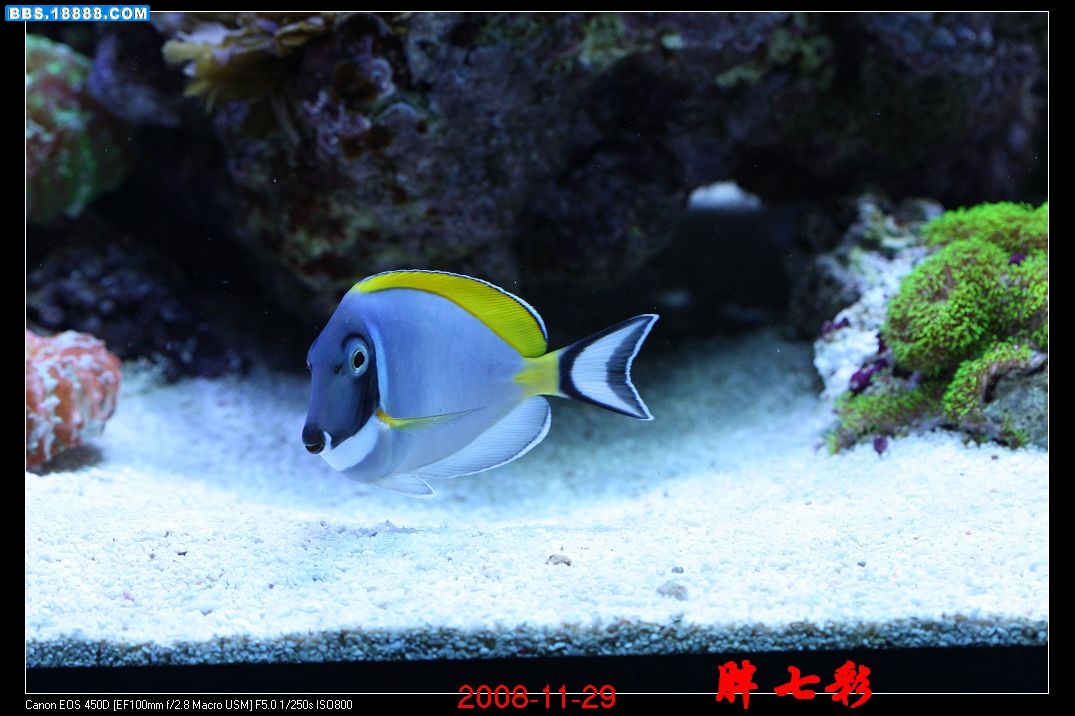 照片 1249.jpg