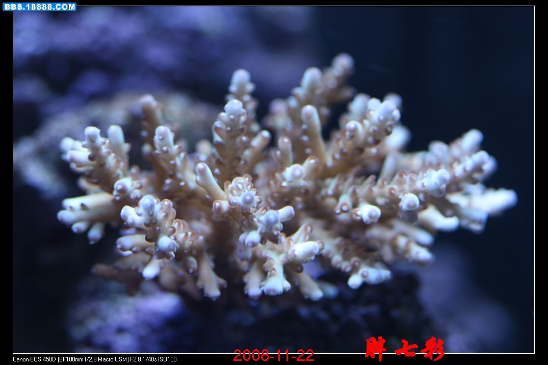 照片 1033.jpg