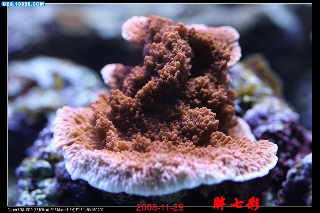 照片 1214.jpg