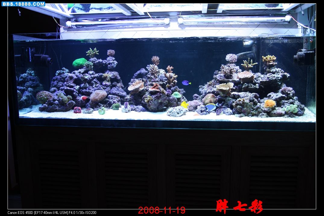 照片 973.jpg