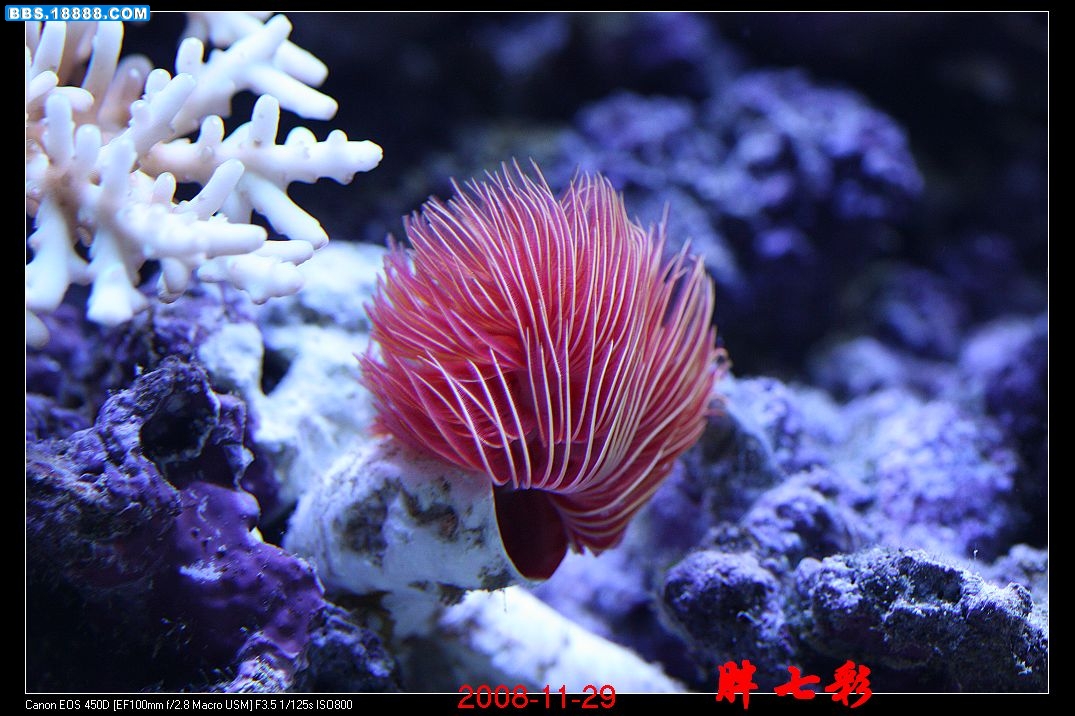 照片 1231.jpg