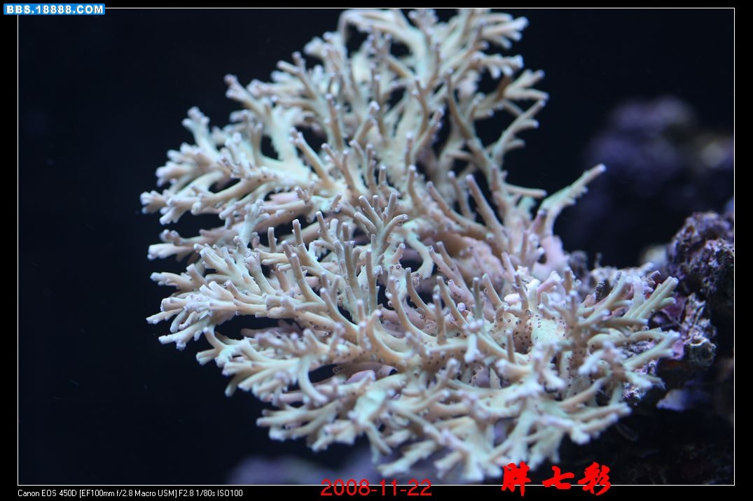 照片 1034.jpg