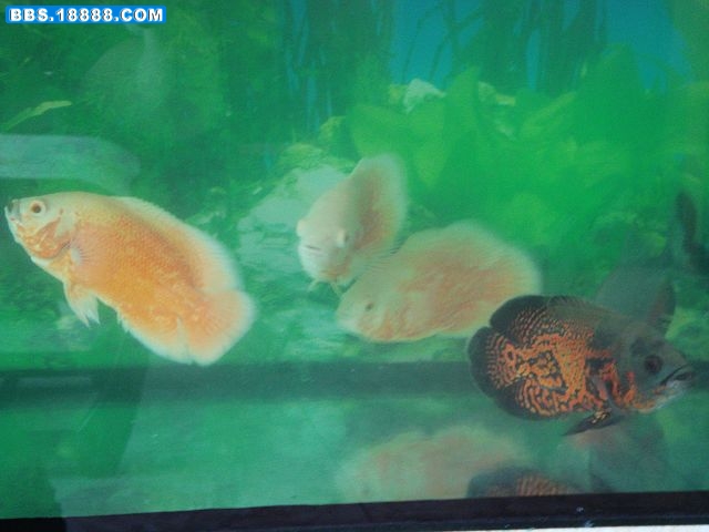 DSC05551_nEO_IMG.jpg