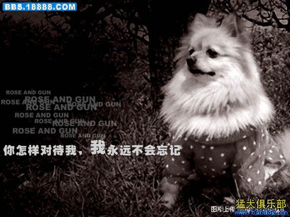 200811282313680487.jpg