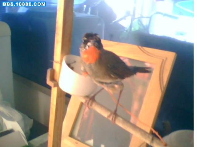 PIC_0008.jpg