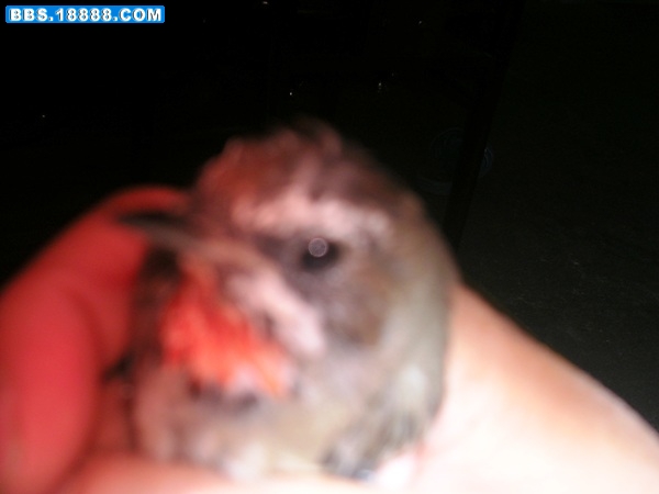 DSCN6138.JPG