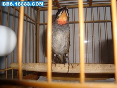 DSC01957_调整大小.JPG