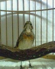 IMG0051A.jpg