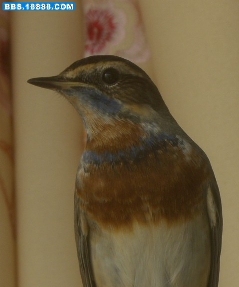 CIMG5811.JPG
