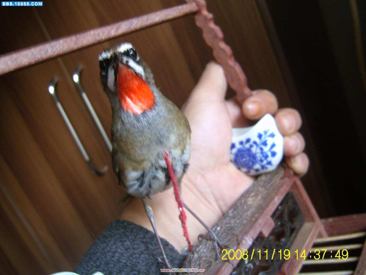 照片 110.jpg
