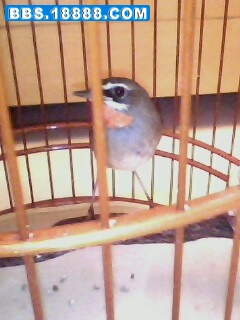 IMG0082A.jpg