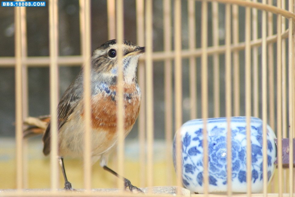 照片 028.jpg