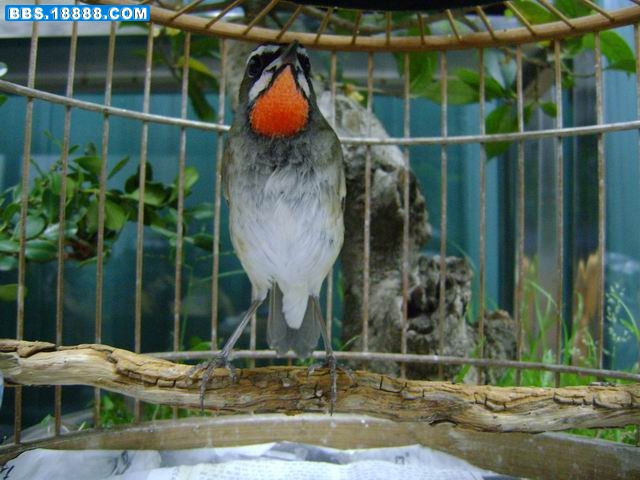 调整大小 DSC00583.JPG