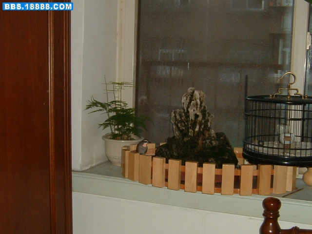 DSCF0008.JPG