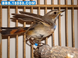 nEO_IMG_DSC00792.jpg