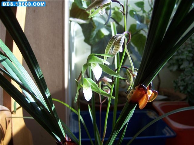 照片 003.jpg