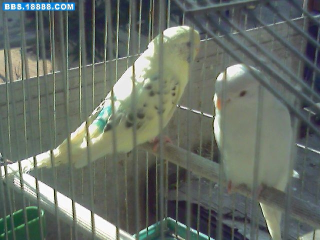 DSC00001.JPG