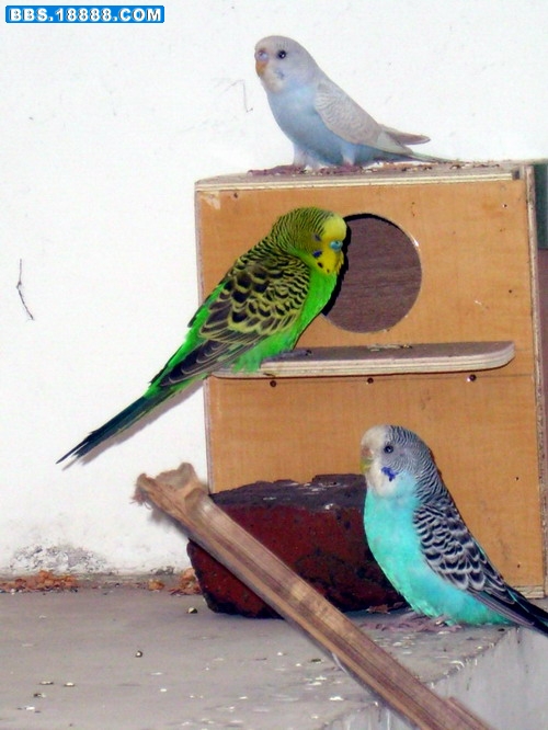 SL703338.JPG