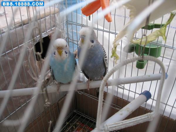 调整大小 IMG_1258.JPG