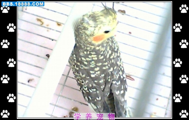 第2天6.jpg