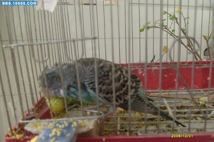 S6306998.jpg