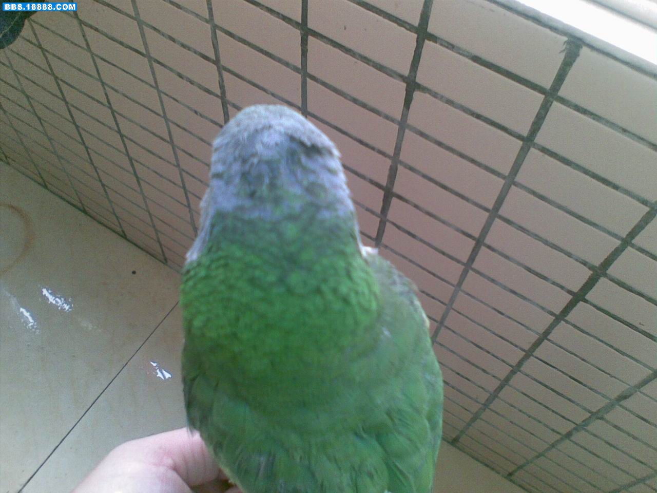 调整大小 20081123006.jpg