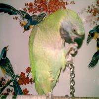 20081228(097).jpg