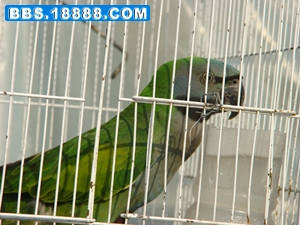 DSC05329.JPG